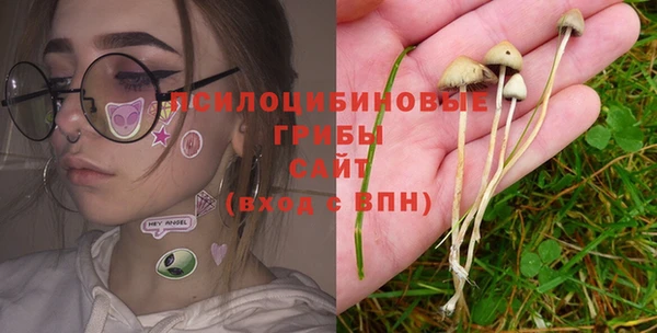ГАЛЛЮЦИНОГЕННЫЕ ГРИБЫ Алзамай