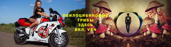 ГАЛЛЮЦИНОГЕННЫЕ ГРИБЫ Алзамай