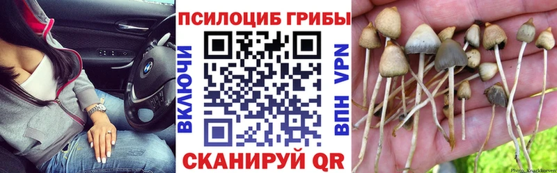 Галлюциногенные грибы ЛСД  закладка  Мамоново 